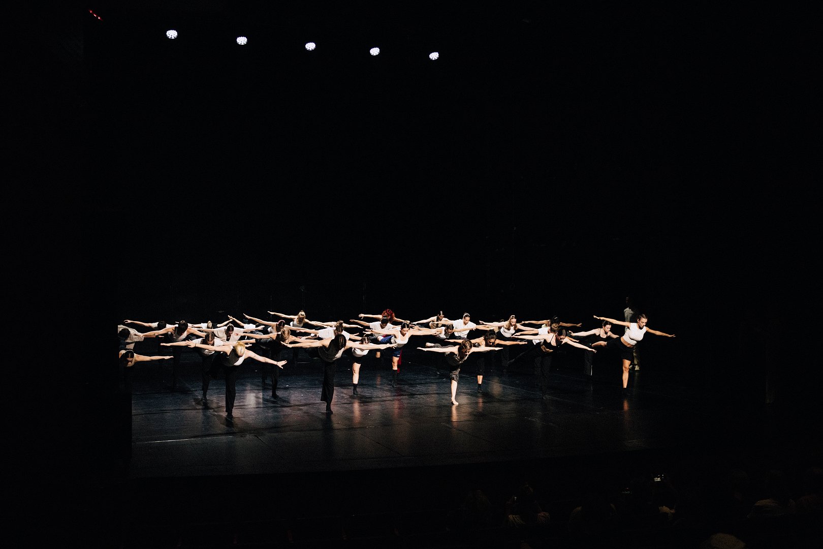 A Glimpse into the MN Summer Dance Intensive